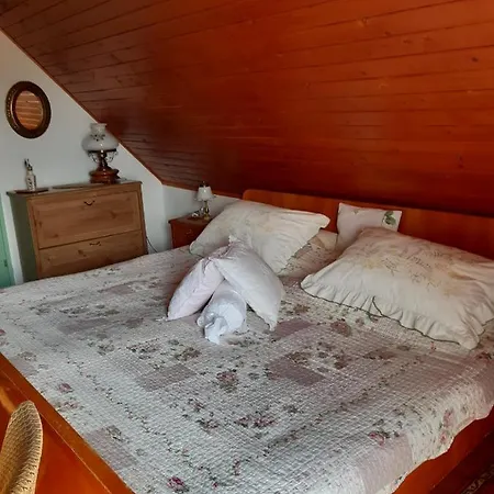 Guest house Villa-magdi Vendeghaz