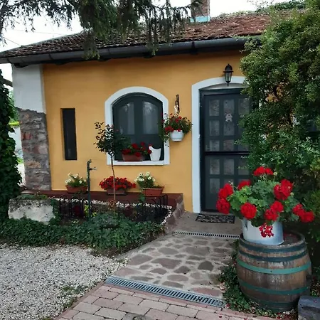 Villa-magdi Vendeghaz ゲストハウス