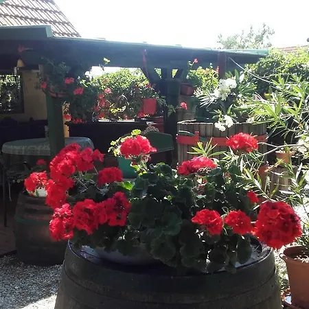 Guest house Villa-magdi Vendeghaz *