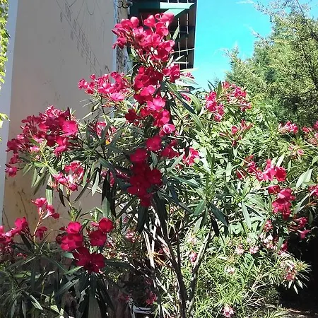 Guest house Villa-magdi Vendeghaz