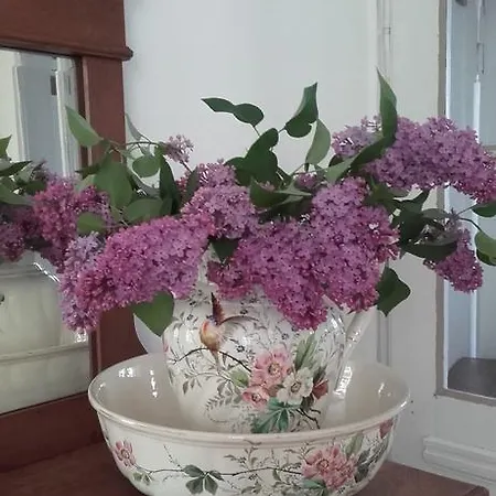 Villa-magdi Vendeghaz 4*