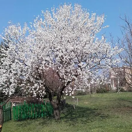 Villa-magdi Vendeghaz Guest house *
