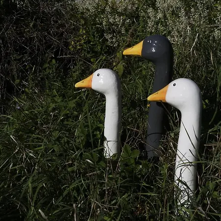 Villa-magdi Vendeghaz ゲストハウス Révfülöp