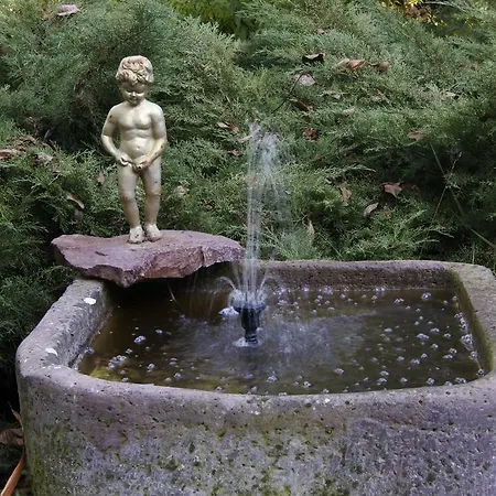 Villa-magdi Vendeghaz