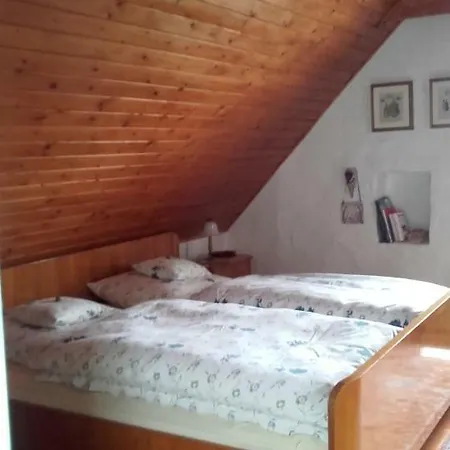 ゲストハウス Villa-magdi Vendeghaz