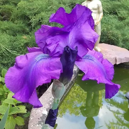 Villa-magdi Vendeghaz