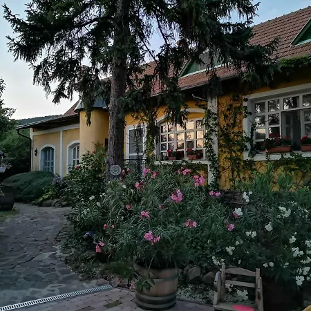 Villa-magdi Vendeghaz Guest house