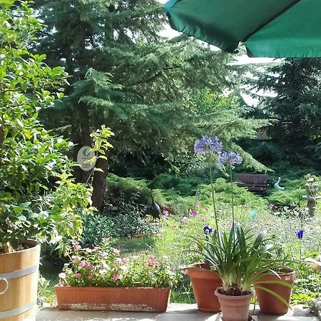 Villa-magdi Vendeghaz 4*