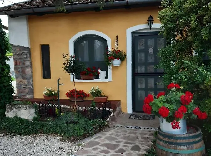 Villa-magdi Vendeghaz בית הארחה