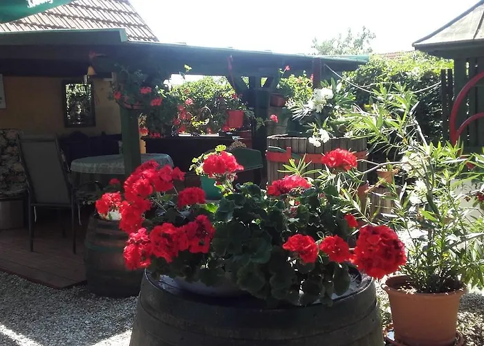 בית הארחה Villa-magdi Vendeghaz 4*