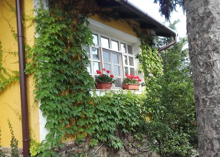 Villa-magdi Vendeghaz רבפולופ