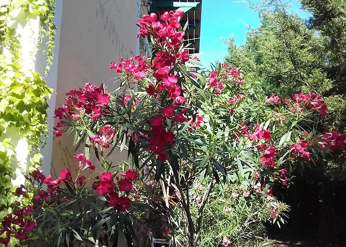 בית הארחה Villa-magdi Vendeghaz