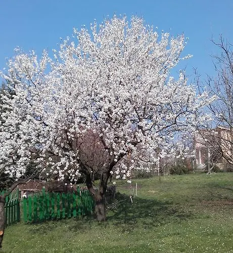 Villa-magdi Vendeghaz בית הארחה 4*