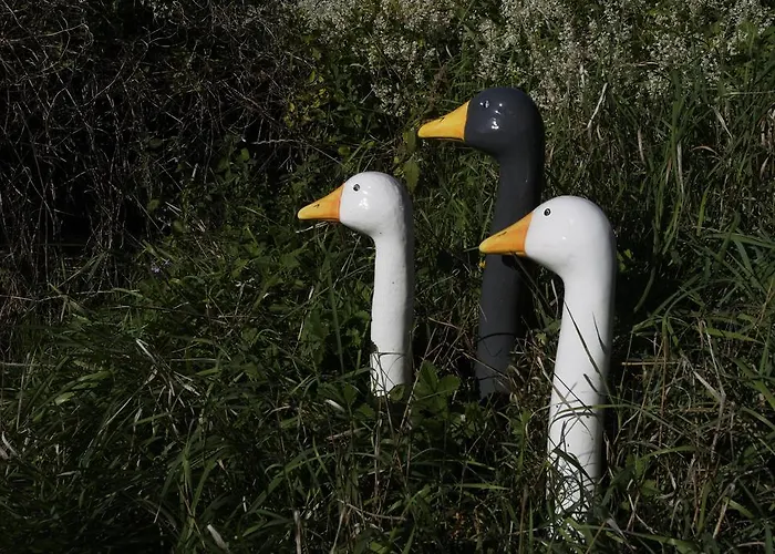 Villa-magdi Vendeghaz בית הארחה רבפולופ