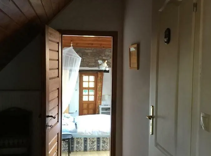 Villa-magdi Vendeghaz רבפולופ