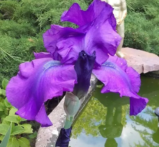 Villa-magdi Vendeghaz