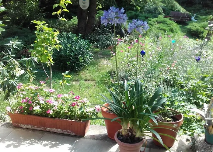 בית הארחה Villa-magdi Vendeghaz 4*